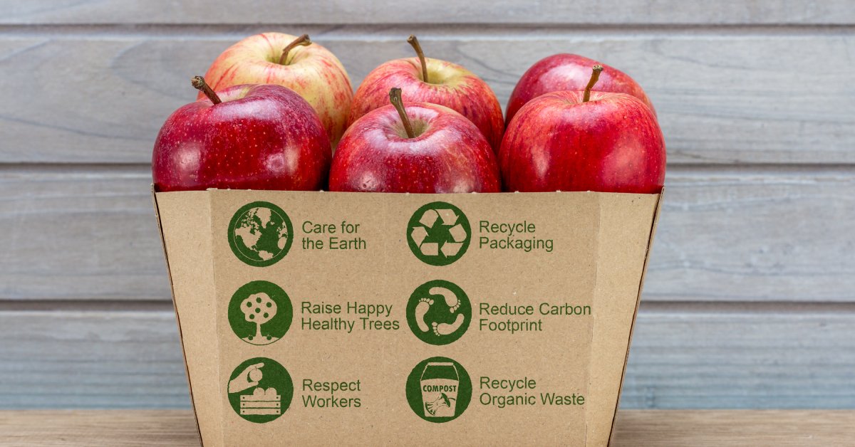 A closeup of a sustainable produce package filled with apples has various messages about recycling on the side.