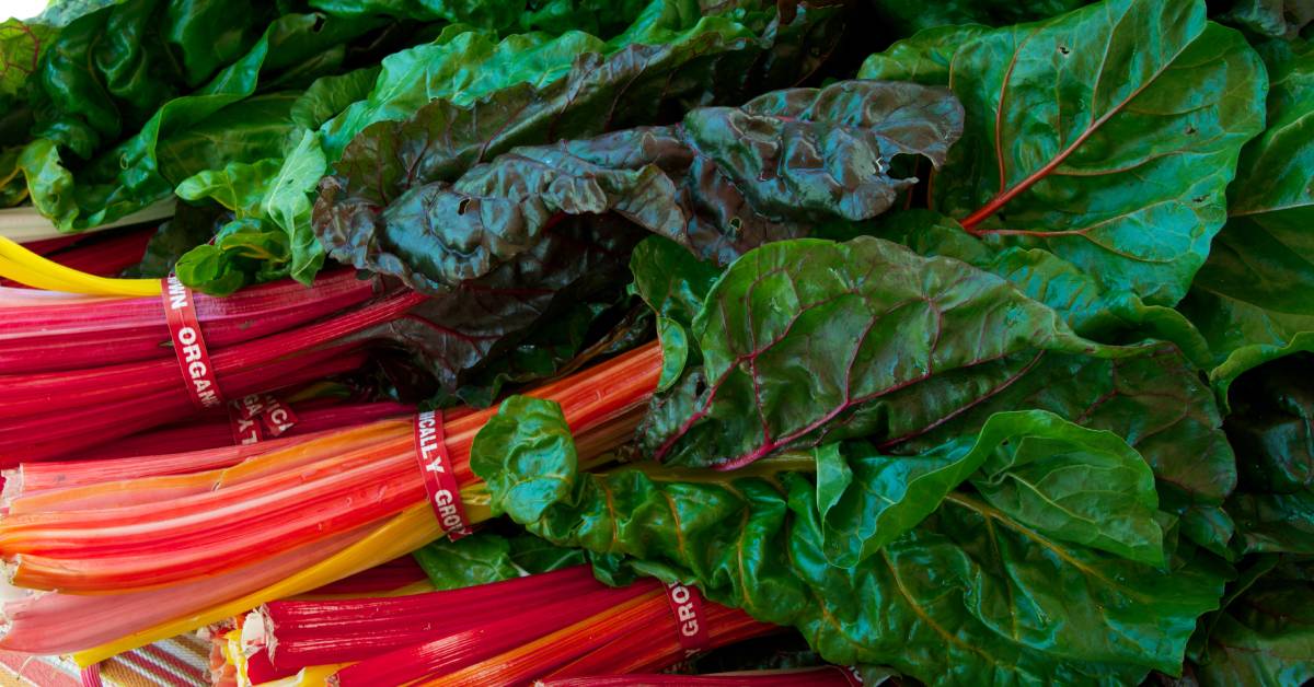 Closeup of several bundles of fresh Swiss chard secured together with red paper twist ties with white text on them.